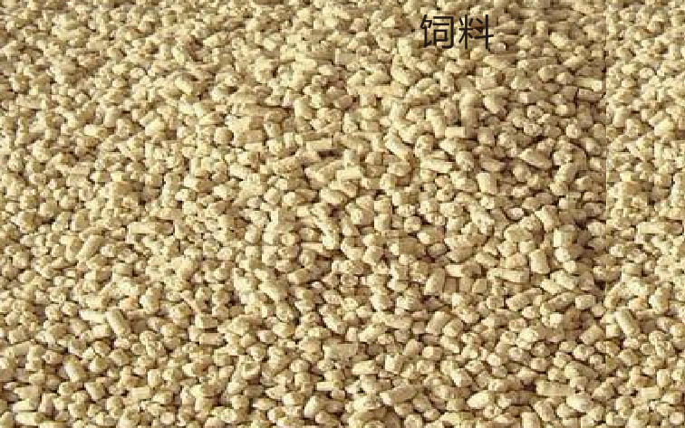 饲料